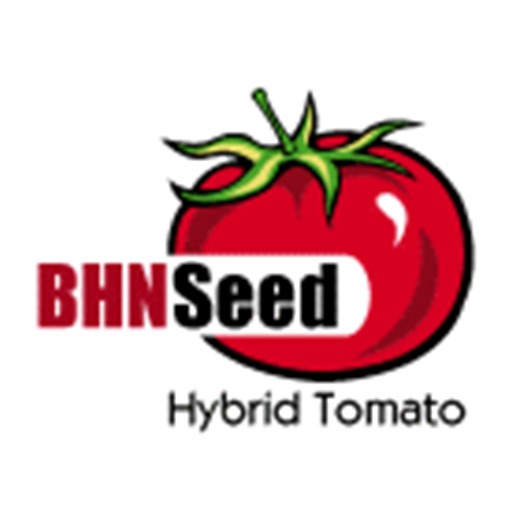 BHN Seed