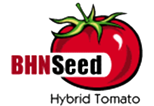 BHN Seed